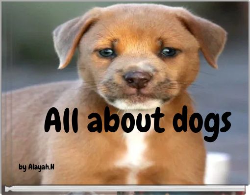 All about dogs