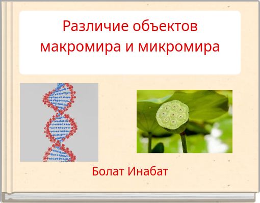 Различие объектов макромира и микромира