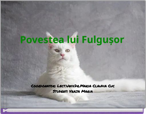 Povestea lui Fulgușor