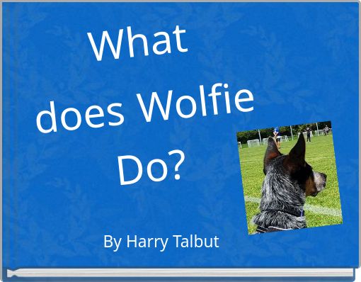 Book Cover for: What does Wolfie Do?