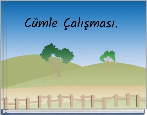 Cümle Çalışması.