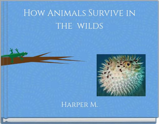 Front cover of 'How Animals Survive in the wilds' 