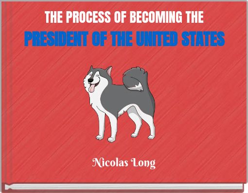 THE PROCESS OF BECOMING THE PRESIDENT OF THE UNITED STATES