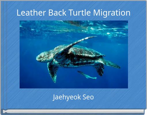 Leather Back Turtle Migration