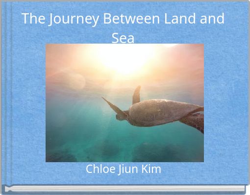 The Journey Between Land and Sea