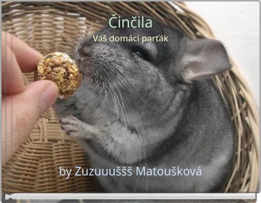Činčila Váš domácí parťák
