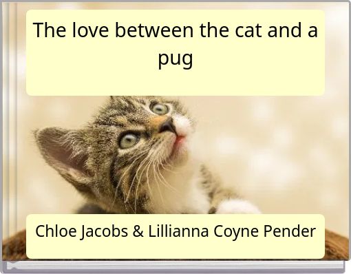 The love between the cat and a pug