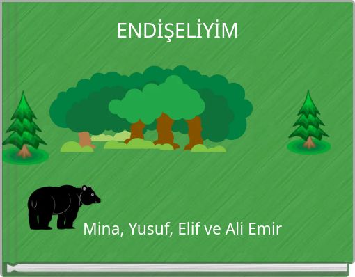 ENDİŞELİYİM
