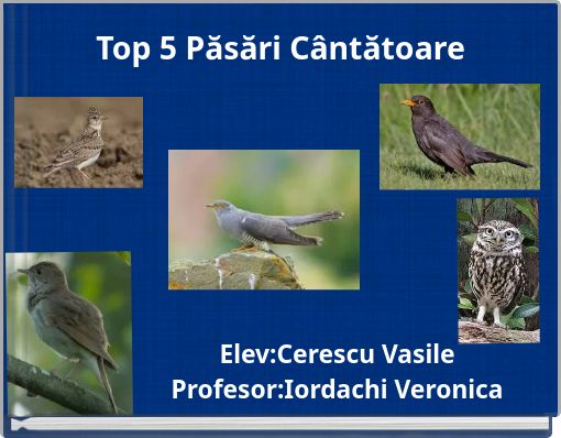 Top 5 Păsări C&acirc;ntătoare