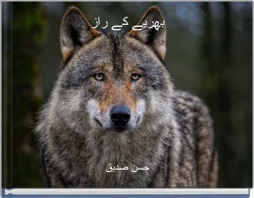 بھریے کے راز