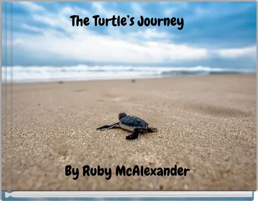 The Turtle’s Journey