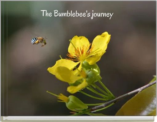 The Bumblebee's journey