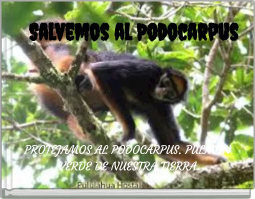 Salvemos al Podocarpus