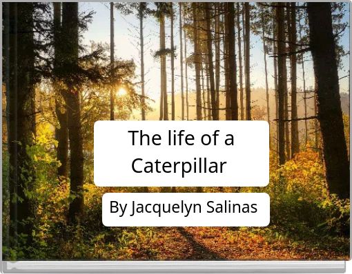 The life of a Caterpillar