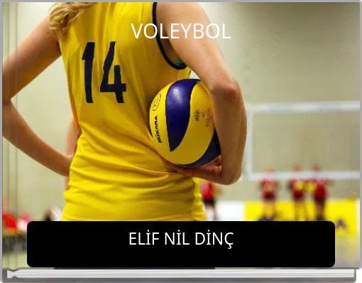 VOLEYBOL