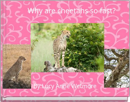 Why are cheetahs so fast?