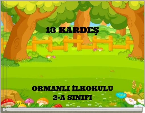 13 KARDEŞ