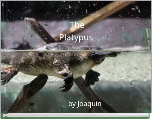 The Platypus