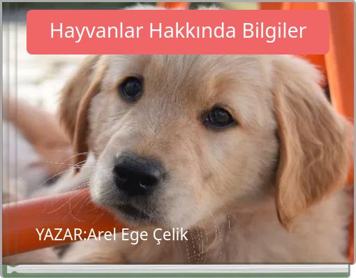Hayvanlar Hakkında Bilgiler