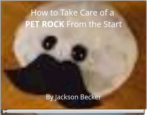 How to Take Care of a PET ROCK From the Start