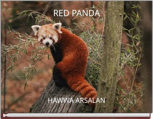 RED PANDA