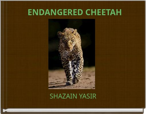 ENDANGERED CHEETAH