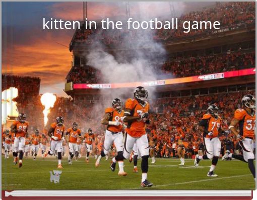 kitten in the football game