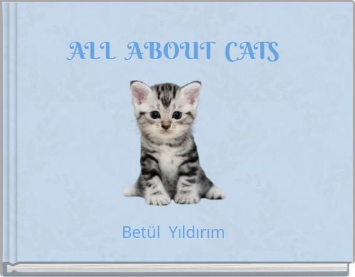 ALL ABOUT CATS
