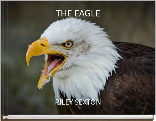 THE EAGLE