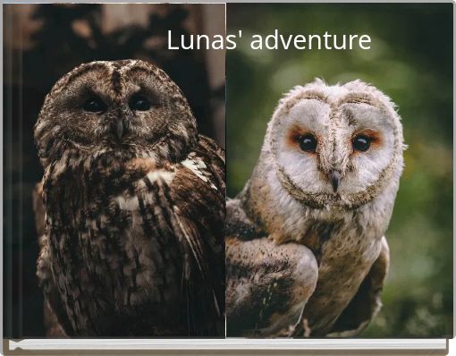 Lunas' adventure