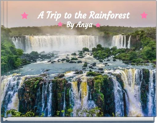 A Trip to the Rainforest