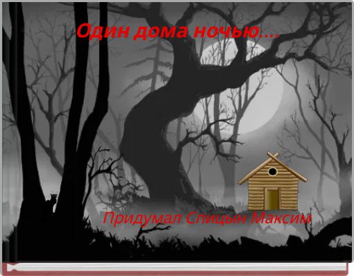 Один дома ночью....