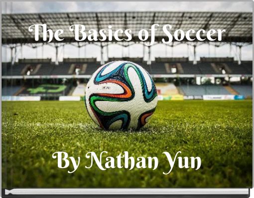 The Basics of Soccer