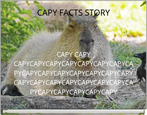 CAPY FACTS STORY