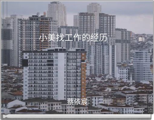 Book Cover for: 小美找工作的经历