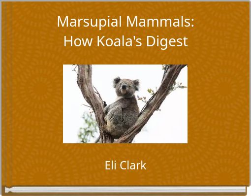Marsupial Mammals: How Koala's Digest