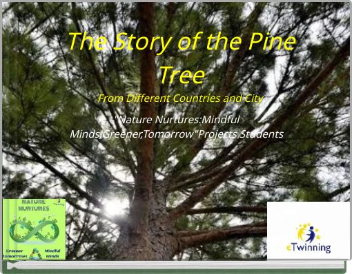 The Story of the Pine Tree From Different Countries and City