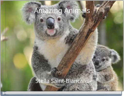 Amazing Animals