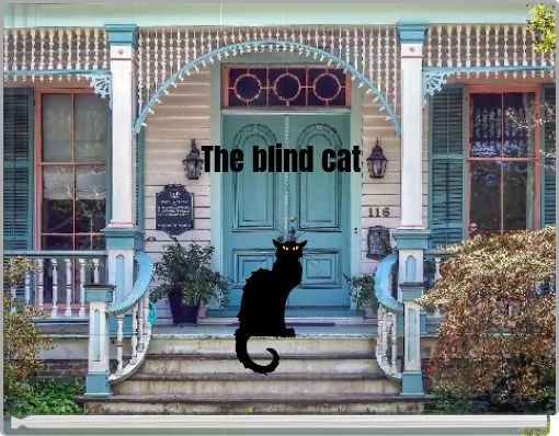 The blind cat