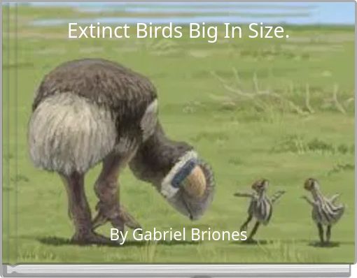 Extinct Birds Big In Size.