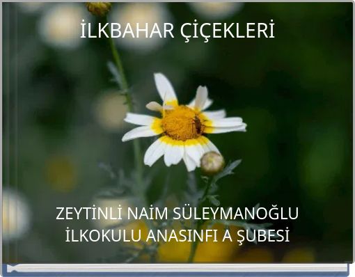 İLKBAHAR ÇİÇEKLERİ