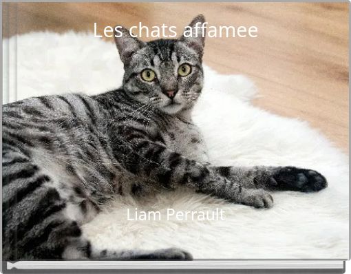 Les chats affamee