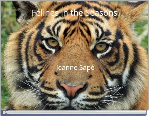 Félines in the Seasons