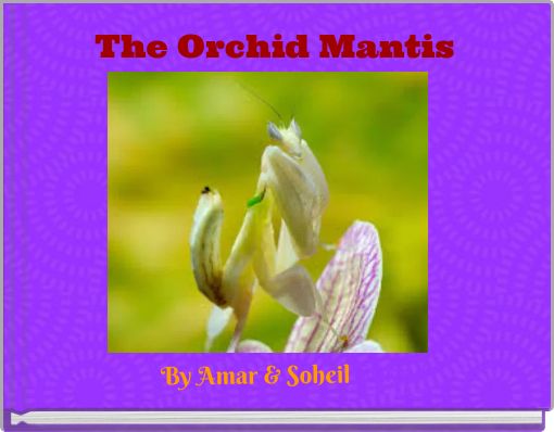 Front cover of 'The Orchid Mantis' 