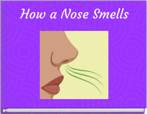 How a Nose Smells