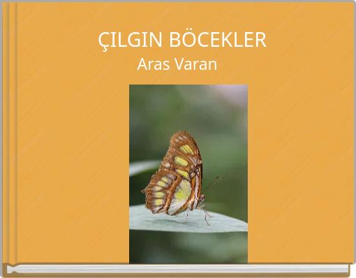 ÇILGIN BÖCEKLER