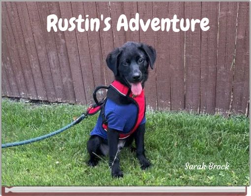 Rustin's Adventure