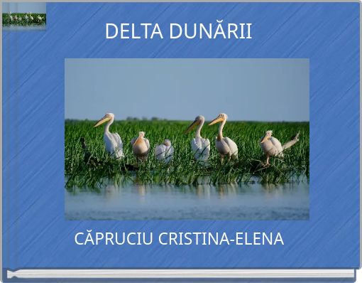 DELTA DUNĂRII