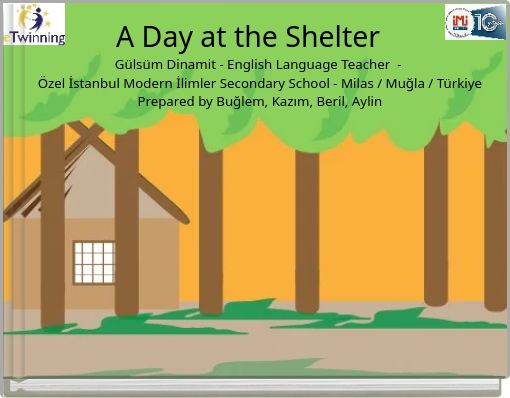 A Day at the Shelter