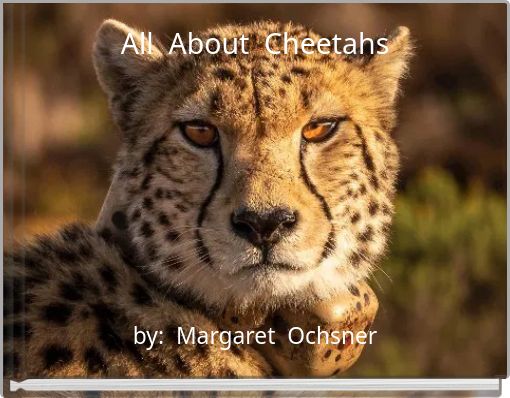 All About Cheetahs